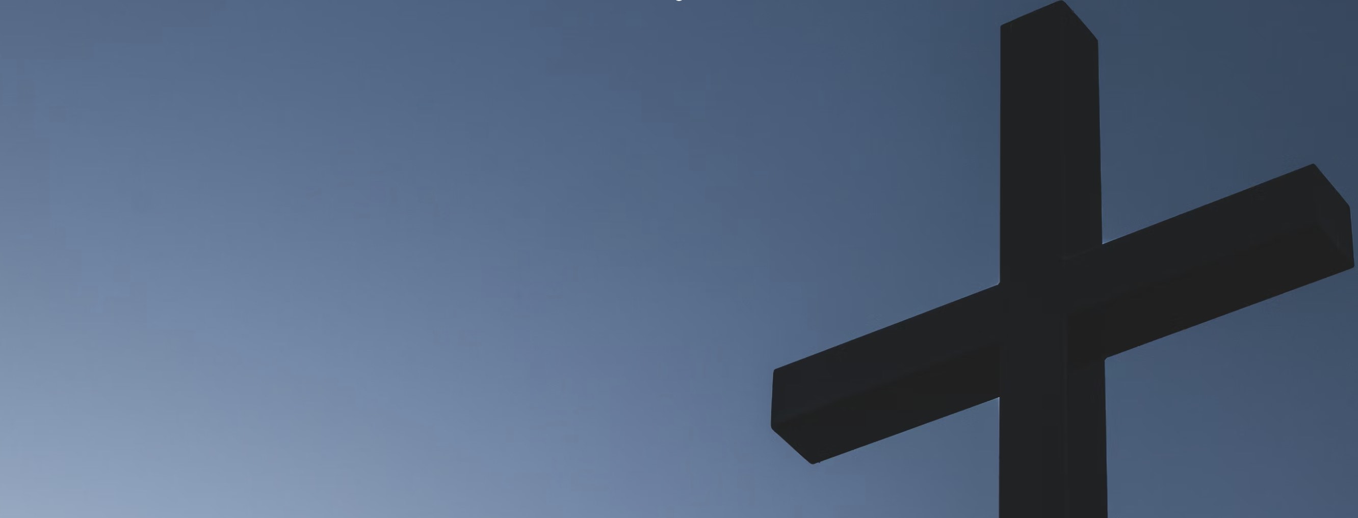 I mørket vokser ingen frukt, bok