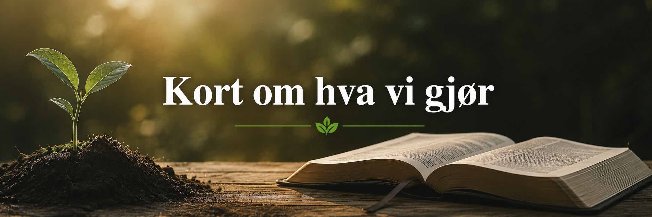 kort-om-hva-vi-gjor