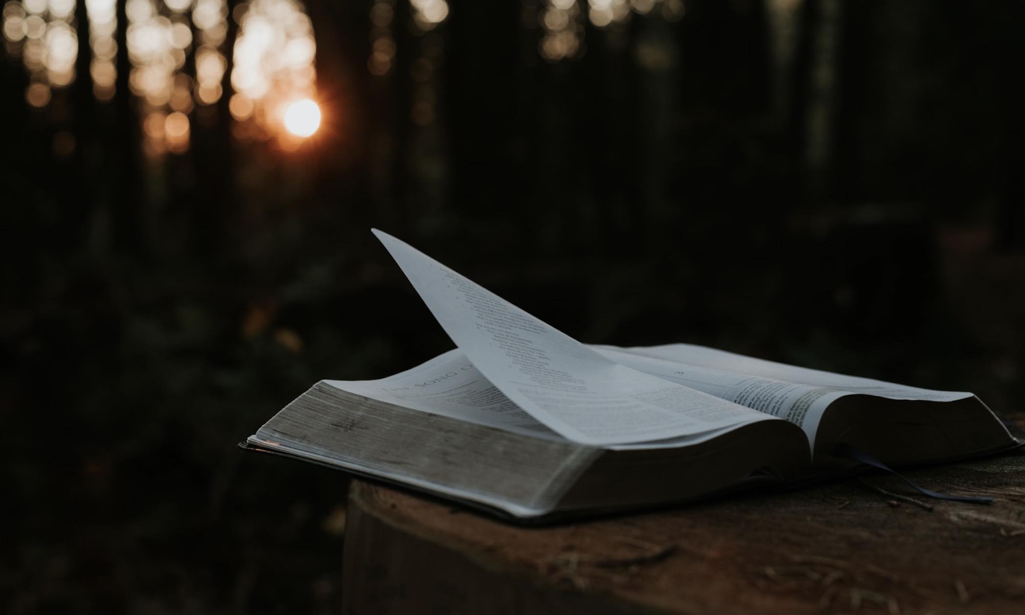 Er det som står i Bibelen sant?